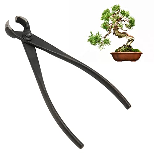 Natudeco Garten-Bonsai-Astschneider Hand-Bonsai-Konkavschneider 6,9 "x 1,6" x 0,6 "Bonsai-Modellierschneider-Werkzeuge für Gartenpflanzen Pruner Wire Cable von Natudeco
