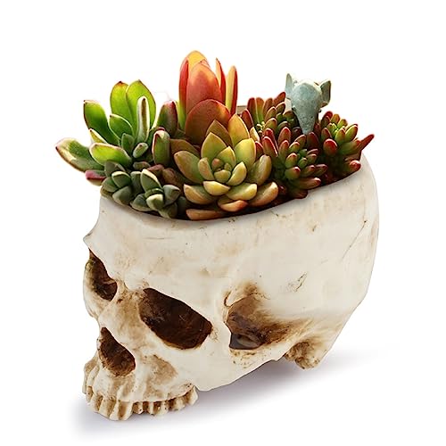 Natudeco Kunstharz-Schädel-Blumentopf, Vintage-Mensch-Schädel-Behälter Halloween-Süßigkeitsschale Kaktus Sukkulenten-Pflanzgefäß Halter Skelett-Skulptur Ornament Zuhause Schule Verwendung Innenbereich von Natudeco