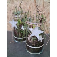 Amaryllis Im Glas Tischdeko - Amarylliszwiebel Weihnachtlich Rot/Weiß Winterliche Geschenkidee Unter 25 Euro, Deko Mit Amaryllis Im Glas Tischdeko - Amarylliszwiebel Weihnachtlich Rot/Weiß Winterliche Geschenkidee Unter 25 Euro, Deko Mit von NatuerlichGestalten
