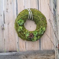 Herbstlicher Türkranz Aus Moos/Haltbarer Türschmuck Mit Hauswurz Sempervivumkranz Wandkranz Kranz Herbst Mooskranz/Windlicht von NatuerlichGestalten