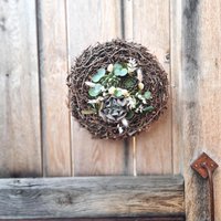 Türkranz Aus Bonsaiholz/Sommerkranz Haltbarer Türschmuck Mit Sukkulente Echeverienkranz Wandkranz Kranz Frühling Bonsaikranz von NatuerlichGestalten