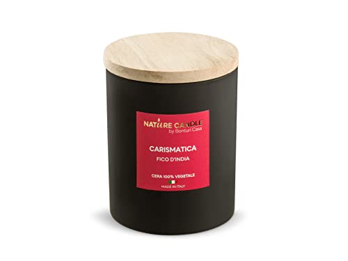 Natur Candle Duftkerze Natural Candle Linie Sie ist aus Wachs, 100 % pflanzlich, Duft Indianfeigen, 200 g, mehrfarbig, 200 g von Natur Candle