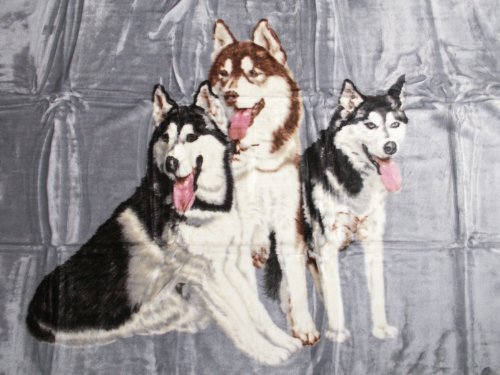 Kuscheldecke Tagesdecke Decke Motiv 3 Husky blau 160x200cm von Natur-Fell-Shop