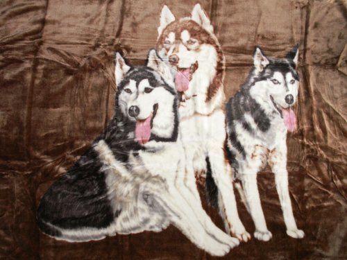 Natur-Fell-Shop Kuscheldecke Tagesdecke Decke Motiv 3 Husky braun 160x200cm von Natur-Fell-Shop
