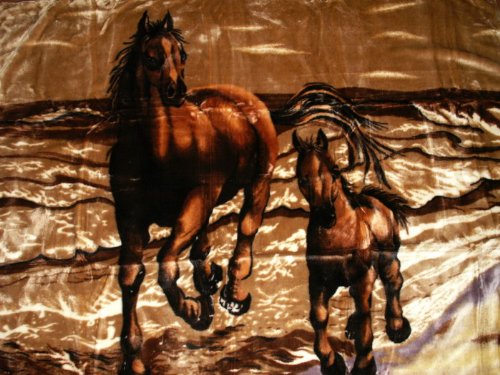 Natur-Fell-Shop Kuscheldecke Tagesdecke Decke Motiv Pferd mit Fohlen braun 160x200cm von Natur-Fell-Shop