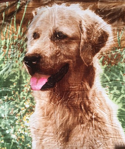Natur-Fell-Shop Kuscheldecke Tagesdecke Wohndecke Motiv Hunde/Golden Retriever 160x200cm von Natur-Fell-Shop