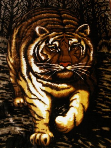 Natur-Fell-Shop XXL Kuscheldecke Tagesdecke Decke Motiv Tiger 200x240cm von Natur-Fell-Shop