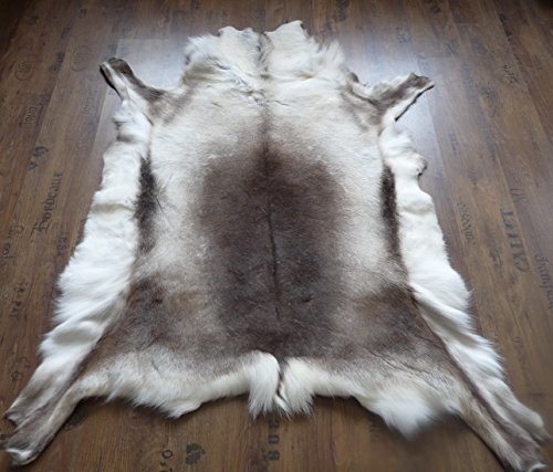 XXL RENTIERFELL Rentier Dekofell Original Skandinavien 150-170 x 120-130cm mit Siegel XXL RENTIERFELL Rentier Dekofell Original Skandinavien 150-170 x 120-130cm mit Siegel von Natur-Fell-Shop
