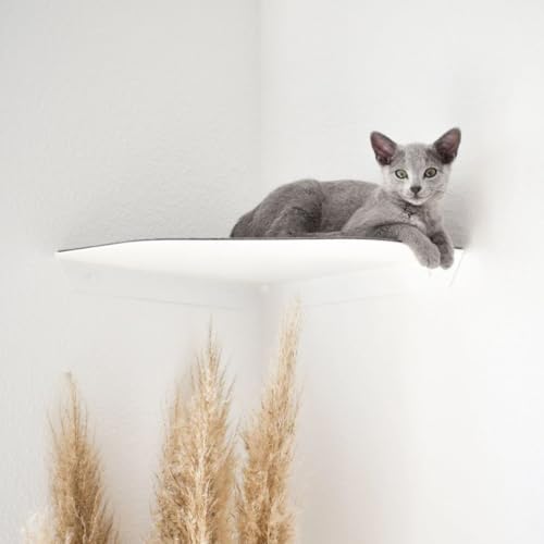 ChapoNero Katzenliege & Kletterstufe mit Filzauflage für Wandecken | Wandliege für Katzen | Katzenstufe Wandecke | Katzen Wand Liegeplatz | Katzenmöbel für Kletterwand | Katzenregal | Anthrazit von Natur Pur LieferAlles E.C.