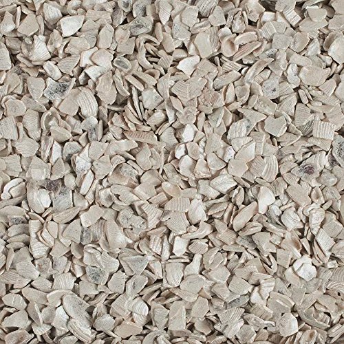 Natur-deko Effekt-MUSCHELGRANULAT 2-5mm 1 kg Muschel Sand in Perlmutt -44 von Natur-deko
