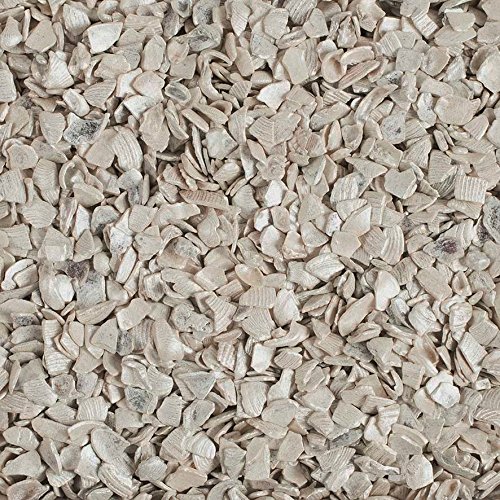 Natur-deko Effekt-MUSCHELGRANULAT 2-5mm 1 kg Muschel Sand in Perlmutt -44 Natur-deko Effekt-MUSCHELGRANULAT 2-5mm 1 kg Muschel Sand in Perlmutt -44 von Natur-deko
