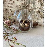 Osterei Aus Glas Mit Öffnung | Ei Glasei Ostern Ostertisch Osterdeko Deko Tischdeko Osterei Aus Glas Mit Öffnung | Ei Glasei Ostern Ostertisch Osterdeko Deko Tischdeko von NaturThiem