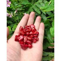 Rote Koralle/Polierte Korallen Kies/Schmuckherstellung/Ungebohrte Koralle Splitter/Winzige Koralle/Lose Stein/Farboptimierte Partikel Rote Koralle/Polierte Korallen Kies/Schmuckherstellung/Ungebohrte Koralle Splitter/Winzige Koralle/Lose Stein/Farboptimierte Partikel von NaturalMineralsArt