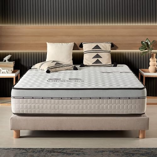 Naturalex - Matratze 160x200 cm - Visco-Carbone - Fest - Blue Latex Matratze mit Aktivkohle - HR-Schaum - Anti-Stress - 7 Zonen Matratze - Höhe 30 cm - Öko-Tex Zertifiziert von Naturalex