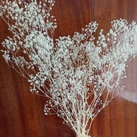 Konservierte Getrocknete Natürliche Schleierkraut Getrocknete Blumen Blumenmuster Diy Hochzeitsstrauß von Naturallydryflora