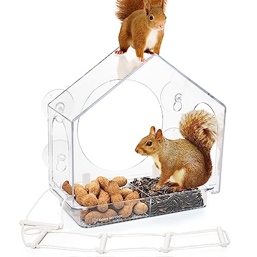 Squirrel-I-View Fenster Eichhörnchen Futterstation - Saugnapf-Futterstation für Eichhörnchen Squirrel-I-View Fenster Eichhörnchen Futterstation - Saugnapf-Futterstation für Eichhörnchen von Nature Anywhere