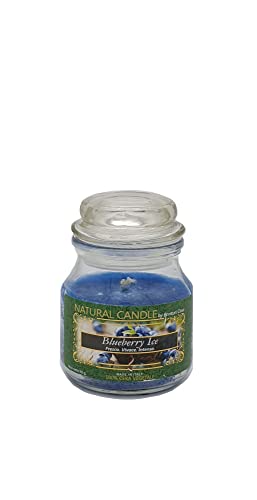 Nature Candle 166881 Duftkerze Blueberry, 100% Vegetale, 90 g, Assortito, 1s von Nature Candle