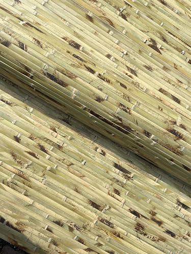 Nature LOUNGE Bambus Wandverkleidung - Exotischer Rollbelag aus echten Bambuslatten (Höhe: 150 cm / 1 Stk. = 1 Meter, Grün getigert) von Nature LOUNGE