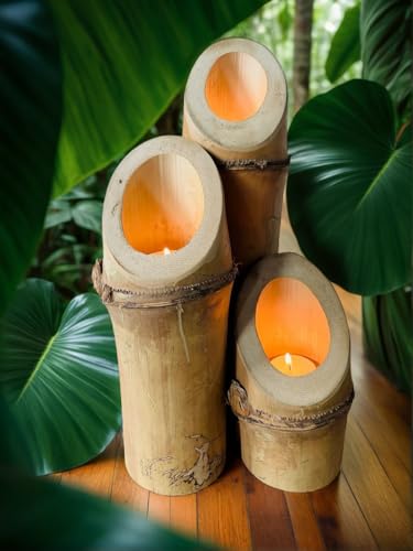 Bambus Windlichter 3er Set – Edle Tischbeleuchtung aus echtem Bambusrohr (40cm) von Nature-Lounge