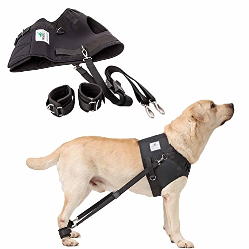 FlexiPander Brustgeschirr/Trainingsgeschirr/Rehageschirr für Hunde mit Problemen an der Hüfte und der Hinterläufe L von Nature Pet