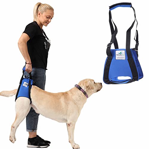 Hunde Tragehilfe XL Blau/ Hunde Gehhilfe / Hunde Rehahilfe, das Hilfsgeschirr für Probleme an der Wirbelsäule, der Hüfte und den Knien ihres Hundes. Von Nature Pet die Premium Marke für Hilfsmittel aus Neopren. Hunde Tragehilfe XL Blau/ Hunde Gehhilfe / Hunde Rehahilfe, das Hilfsgeschirr für Probleme an der Wirbelsäule, der Hüfte und den Knien ihres Hundes. Von Nature Pet die Premium Marke für Hilfsmittel aus Neopren. von Nature Pet