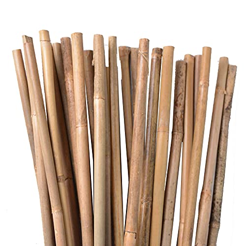 UNUS Bambusstäbe, Pflanzenstäbe zur Stabilisierung von Pflanzen im Garten, Rankstäbe Bambus 120 cm naturfarbend, 100 Stück von UNUS