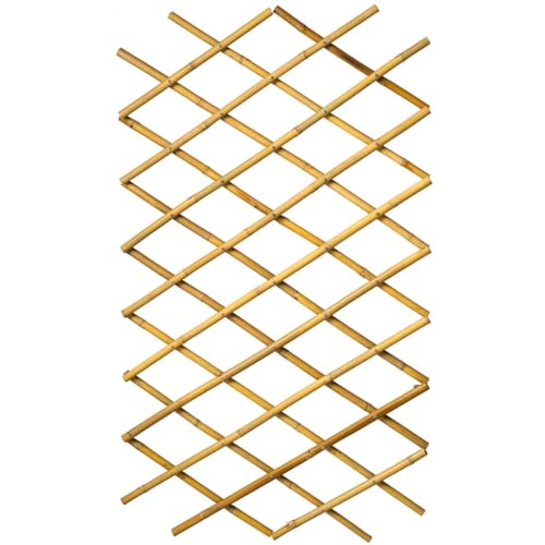 Ausziehbares Rankgitter aus Bambus – 70 x 180 cm Ausziehbares Rankgitter aus Bambus – 70 x 180 cm von Nature
