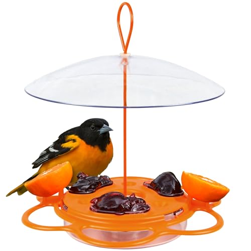 Nature's Way OFP1 All-in-One Oriole Buffet Vogelfutterstation, Orange von Nature's Way