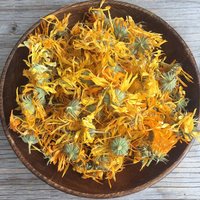 Getrocknete Ringelblume. Sorgen Calendule. Calendula Officinalis. Für Kräutertee Oder Herstellung Von Kosmetika. Pflanze Gesucht Getrocknete Ringelblume. Sorgen Calendule. Calendula Officinalis. Für Kräutertee Oder Herstellung Von Kosmetika. Pflanze Gesucht von NatureEssentielle