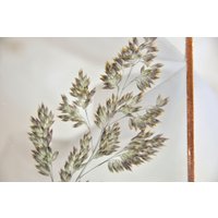 Gepresster Blumenrahmen. Wildes Gras Im Rahmen. Echte Pflanze. Trockenblume. Kupferrahmen. Blumen Natur. Geschenk Aus Slowenien. Hochzeit von NatureFingerprint
