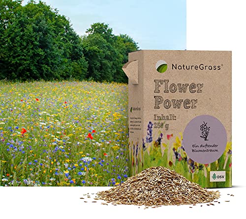 NatureGrass FlowerPower - die Blumenmischung (250g für 65qm) / Blumensamen für einen inseketenfreundlichen, blütenreichen Garten von NatureGrass