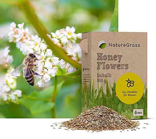 NatureGrass HoneyFlower - die Bienenmischung (500g für 125qm), Blumenmischung - blütenreich, insektenfreundlich für einen vielfältigen Garten von NatureGrass
