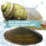All Inklusive Power Teich Set für deinen Gartenteich/Natürliche Power I 3xTeichmuschel,3xSpitzschlamm und 3xSumpfdeckelschnecke von NatureHolic