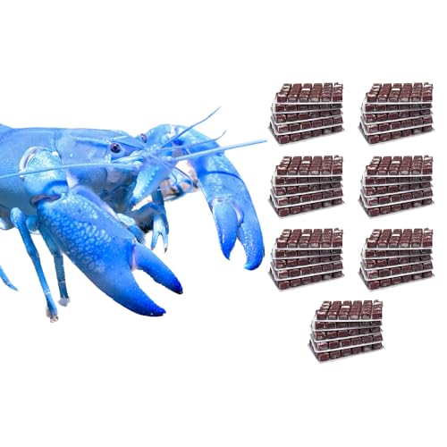 NatureHolic Frostfutter Mix Flusskrebse | 24 Blister á 100g | Artemia Miesmuschel Krill Garnelen Knoblauch Mückenlarven | Proteinreiches Schockgefrostetes Naturfutter für Procambarus und Cherax NatureHolic Frostfutter Mix Flusskrebse | 24 Blister á 100g | Artemia Miesmuschel Krill Garnelen Knoblauch Mückenlarven | Proteinreiches Schockgefrostetes Naturfutter für Procambarus und Cherax von NatureHolic
