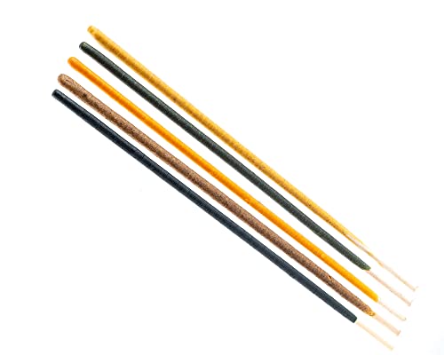 NatureHolic - Garnelen Lollies „PowerMix - 5 Lollies I Zusatzfutter für Wirbellose I mit erlesenen Zutaten I besondere Fütterungsmomente I Made in Germany I 5 Lollis von NatureHolic