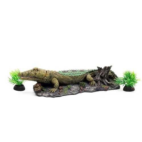 NatureHolic Krokodil Sprudelstein 20x10x7 cm | Aquarium Deko | Luftausströmer aus Kunstharz | Luftstein für Aquarien | Mit Dekopflanzen & Anschluss für Luftpumpe NatureHolic Krokodil Sprudelstein 20x10x7 cm | Aquarium Deko | Luftausströmer aus Kunstharz | Luftstein für Aquarien | Mit Dekopflanzen & Anschluss für Luftpumpe von NatureHolic