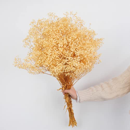 Getrocknete Blumen Babyatmenstrauß – 1500+ weiße Blumen, 43,2 cm natürliche Schleierkraut-Zweige für Hochzeit, Tischvasen-Dekoration, DIY-Kranz, Blumenarrangement, Heimdekoration von NatureMan