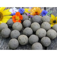 100 Samenbomben, Seedballs Unverpackt, Mit Verschiedenen Blumensamen, Um Z.b. Schöne Gastgeschenke Oder Ostergeschenke Zu Basteln von NatureRoadshop