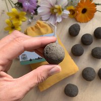 Samenbomben, Bunte Blumen, 10 Stück Im Beutel, Bienen Freundliche Mischung von NatureRoadshop