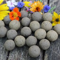 Samenbomben, Seedballs Unverpackt, 40 Stück Um Damit Z.b Schöne Wichtelgeschenke Zu Basteln von NatureRoadshop