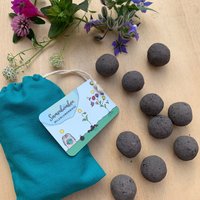 Samenbomben Wildblumenwiese, Bunte Blumenmischung, 10 Stück Im Beutel von NatureRoadshop