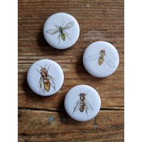 Kühlschrankmagnete „Biene, Wespe Und Co" von NatureToPin