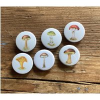 Kühlschrankmagnete „Pilze"; 6Er Set von NatureToPin