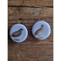 Kühlschrankmagnete „Wachteln" 2Er Set Kühlschrankmagnete „Wachteln" 2Er Set von NatureToPin