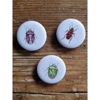 Kühlschrankmagnete „Wanzen" 3Er Set Kühlschrankmagnete „Wanzen" 3Er Set von NatureToPin