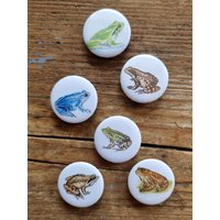 Kühlschrankmagnete "Frösche" von NatureToPin