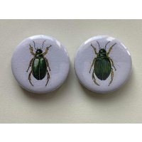 Kühlschrankmagnete Gelbrandkäfer 2Er Set Kühlschrankmagnete Gelbrandkäfer 2Er Set von NatureToPin