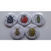 Kühlschrankmagnete "Käfer" 5Er Set Kühlschrankmagnete "Käfer" 5Er Set von NatureToPin