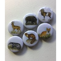 Kühlschrankmagnete "Waldtiere Ii" 6Er Set von NatureToPin