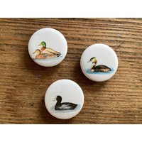 Kühlschrankmagnete Wasservögel 3Er Set von NatureToPin